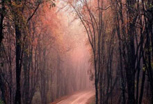 开云体育娱乐-包含骑士获胜！拉塞尔率先塔图姆，逆袭老鹰的词条